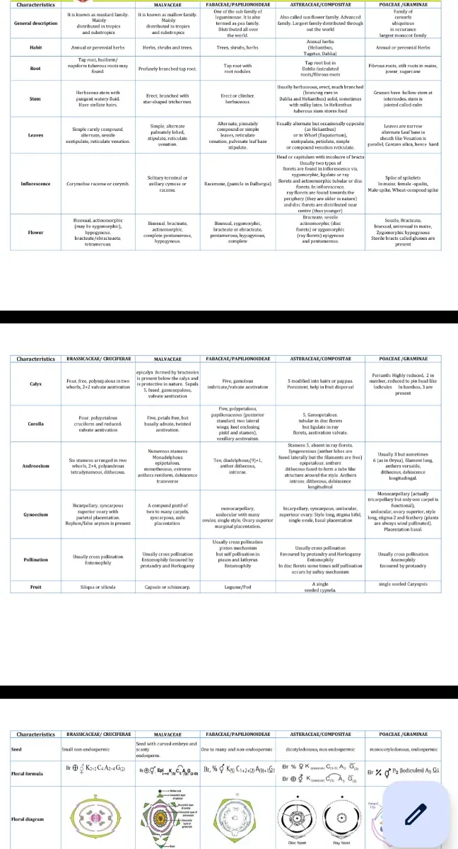 â€œMorphology â€“ New Families | One-Page Quick Notesâ€